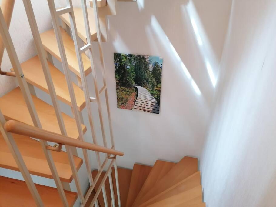 Ferienhaus Hoher Weg - Urlaub, Wandern, Downhill Und Workation Am Nationalpark Harz Sankt Andreasberg Exterior foto