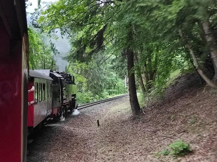 Ferienhaus Hoher Weg - Urlaub, Wandern, Downhill Und Workation Am Nationalpark Harz Sankt Andreasberg Exterior foto
