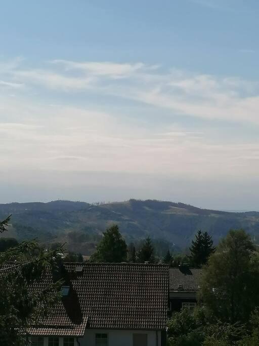 Ferienhaus Hoher Weg - Urlaub, Wandern, Downhill Und Workation Am Nationalpark Harz Sankt Andreasberg Exterior foto
