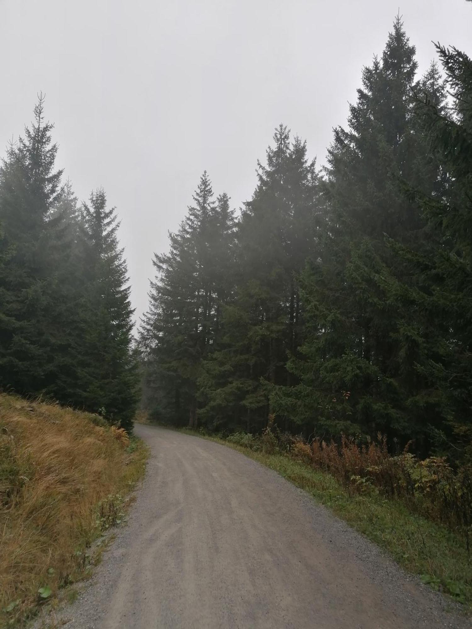 Ferienhaus Hoher Weg - Urlaub, Wandern, Downhill Und Workation Am Nationalpark Harz Sankt Andreasberg Exterior foto